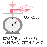 歯みがきの説明（ＴＢＩ：ブラッシング指導）