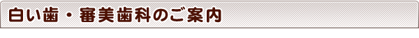 やまざき歯科の白い歯・審美歯科のご案内